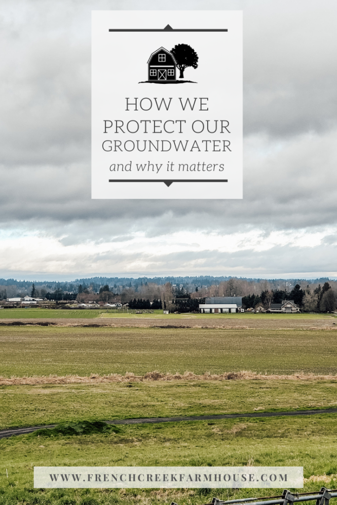 Five simple things we do to help protect our homestead's groundwater--and why it matters!